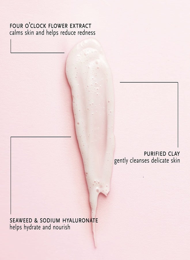 ARCONA Four O'Clock Flower Gentle Cleansing Cream - Moisturizing Face Wash for Sensitive Skin, Organic Lavender, Green Tea, Chammomile, Hyaluronic Acid, Vegan, Cruelty Free, 3.67 oz. Made In The USA - Image 2